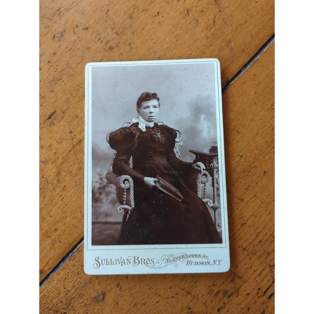Antique Cabinet Card Lady Woman Photo 1800s Victorian Portrait Hudson New York